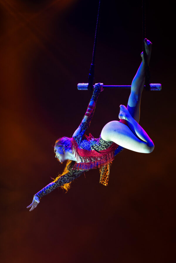 Female trapeze artist in leopard print and red, inverted on bar under warm-blue stage wash